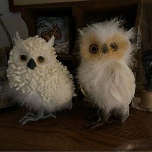 Pair of White feathered owls